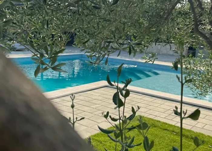 Barba Ive - With Pool ヴィラ